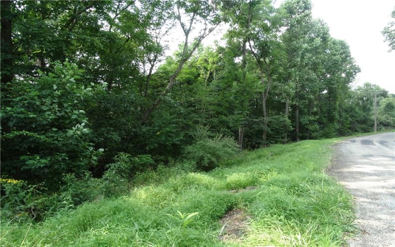 00 & 02 Moscow Rd, Amwell, 15311, ,Farm-acreage-lot,For Sale,Moscow Rd,1768825