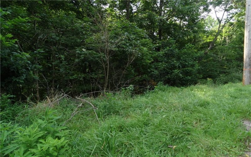 00 & 02 Moscow Rd, Amwell, 15311, ,Farm-acreage-lot,For Sale,Moscow Rd,1768825