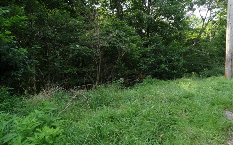 00 & 02 Moscow Rd, Amwell, 15311, ,Farm-acreage-lot,For Sale,Moscow Rd,1768825
