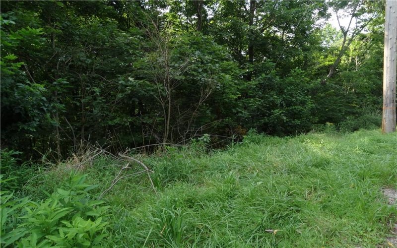 00 & 02 Moscow Rd, Amwell, 15311, ,Farm-acreage-lot,For Sale,Moscow Rd,1768825