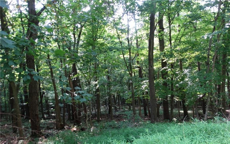 00 & 02 Moscow Rd, Amwell, 15311, ,Farm-acreage-lot,For Sale,Moscow Rd,1768825