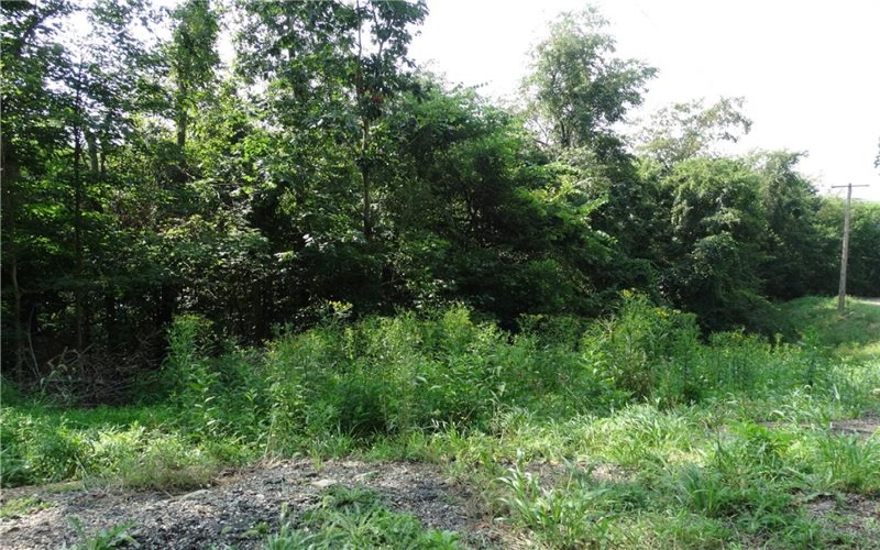 00 & 02 Moscow Rd, Amwell, 15311, ,Farm-acreage-lot,For Sale,Moscow Rd,1768825