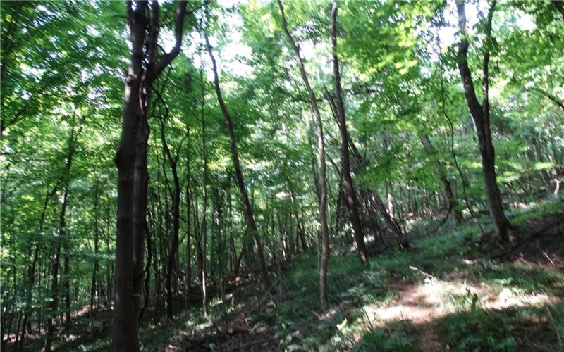 00 & 02 Moscow Rd, Amwell, 15311, ,Farm-acreage-lot,For Sale,Moscow Rd,1768825