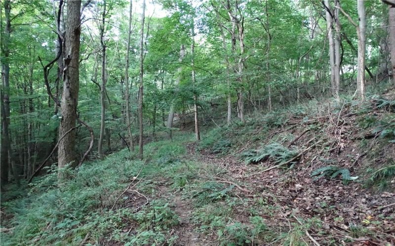 00 & 02 Moscow Rd, Amwell, 15311, ,Farm-acreage-lot,For Sale,Moscow Rd,1768825