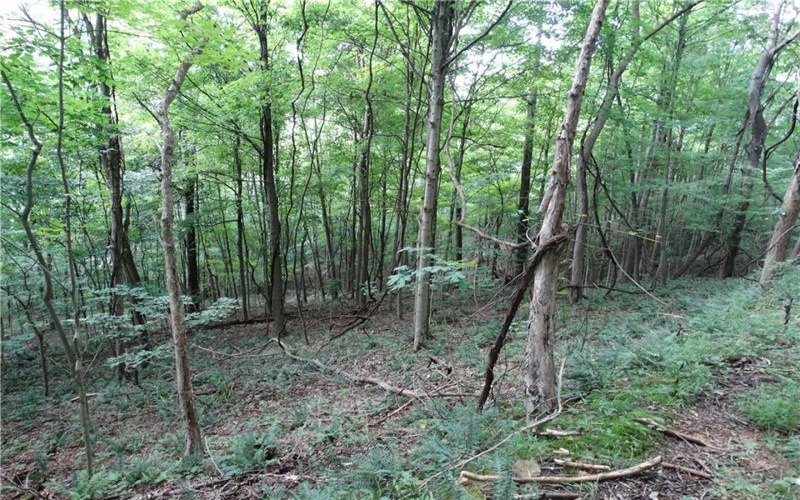 00 & 02 Moscow Rd, Amwell, 15311, ,Farm-acreage-lot,For Sale,Moscow Rd,1768825