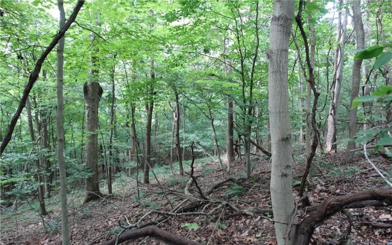 00 & 02 Moscow Rd, Amwell, 15311, ,Farm-acreage-lot,For Sale,Moscow Rd,1768825