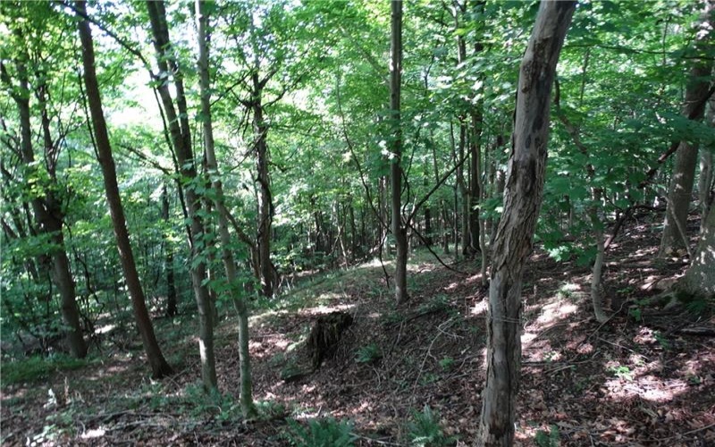 00 & 02 Moscow Rd, Amwell, 15311, ,Farm-acreage-lot,For Sale,Moscow Rd,1768825