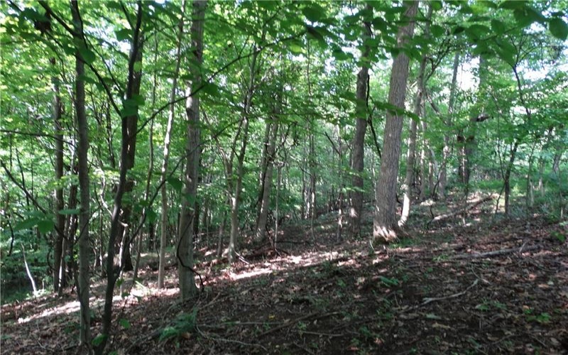 00 & 02 Moscow Rd, Amwell, 15311, ,Farm-acreage-lot,For Sale,Moscow Rd,1768825