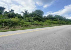 0 Crawford Rd, Fredericktown, 15333, ,Farm-acreage-lot,For Sale,Crawford Rd,1769767