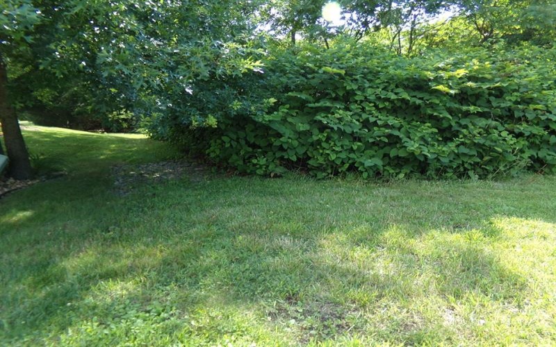 Lot 9 Applewood Dr, Lower Burrell, 15068, 4 Bedrooms Bedrooms, ,4 BathroomsBathrooms,Farm-acreage-lot,For Sale,Applewood Dr,1769905