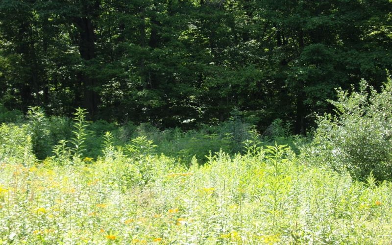 Lot 9 Applewood Dr, Lower Burrell, 15068, 4 Bedrooms Bedrooms, ,4 BathroomsBathrooms,Farm-acreage-lot,For Sale,Applewood Dr,1769905