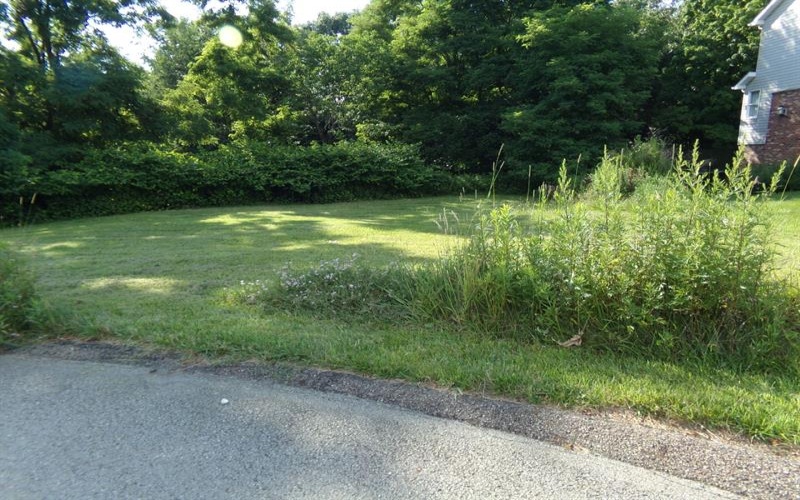Lot 10 Applewood Drive, Lower Burrell, 15068, ,Farm-acreage-lot,For Sale,Applewood Drive,1769907