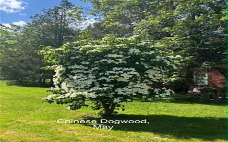 1262 Hancock Avenue, Vandergrift, 15690, 4 Bedroom Bedrooms, 10 Room Rooms,1 BathroomBathrooms,Residential,For Sale,Hancock Avenue,1768392