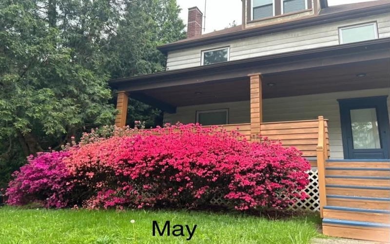 1262 Hancock Avenue, Vandergrift, 15690, 4 Bedroom Bedrooms, 10 Room Rooms,1 BathroomBathrooms,Residential,For Sale,Hancock Avenue,1768392