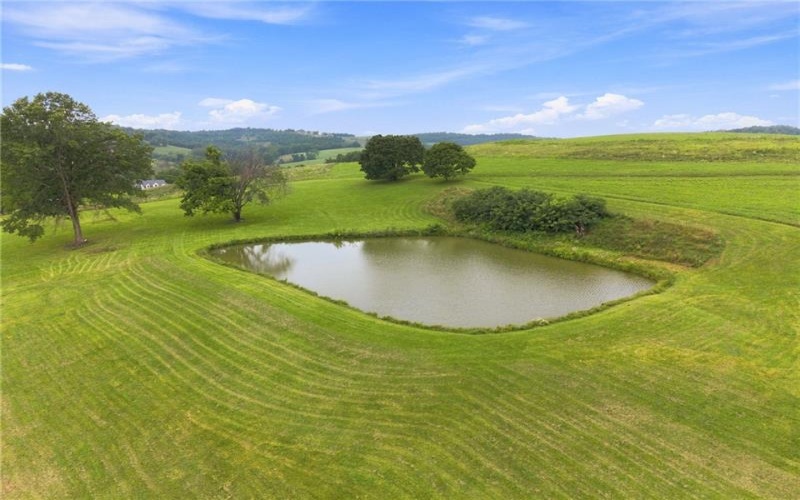 20 Mavor Ln, Avella, 15312, 4 Bedrooms Bedrooms, ,1.1 BathroomsBathrooms,Farm-acreage-lot,For Sale,new shop, 6 other building,Mavor Ln,1769991
