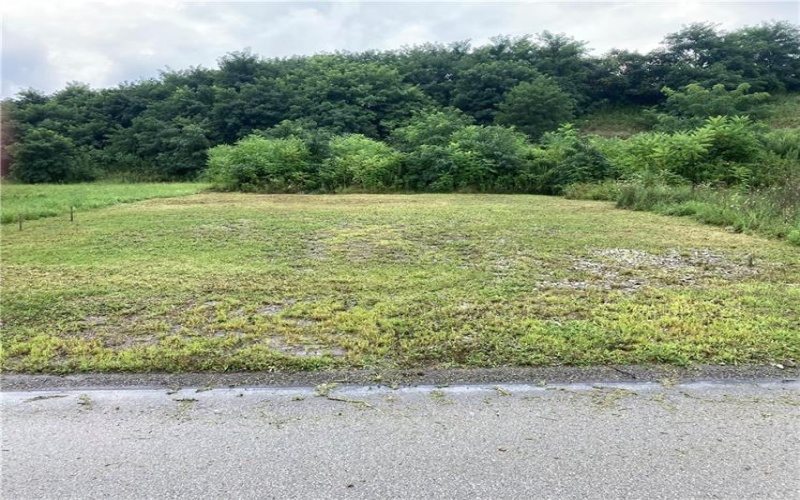 153 Lentz Road, Latrobe, 15650, ,Farm-acreage-lot,For Sale,None,Lentz Road,1770179