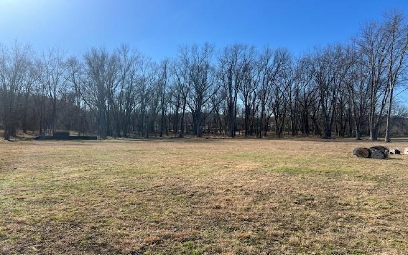 112 & 116 Lower River Road, East Millsboro, 15433, ,Farm-acreage-lot,For Sale,Lower River Road,1770320