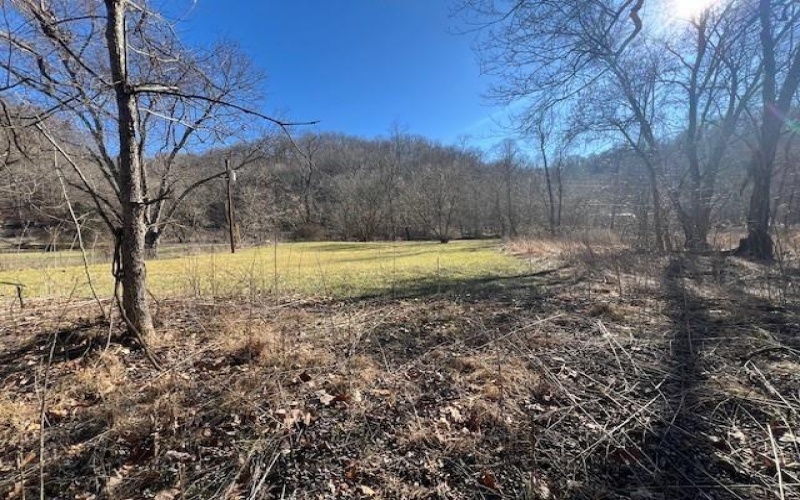 112 & 116 Lower River Road, East Millsboro, 15433, ,Farm-acreage-lot,For Sale,Lower River Road,1770320