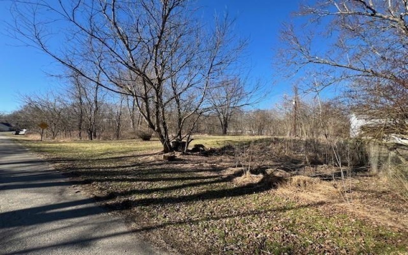 112 & 116 Lower River Road, East Millsboro, 15433, ,Farm-acreage-lot,For Sale,Lower River Road,1770320