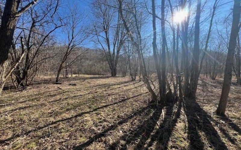 112 & 116 Lower River Road, East Millsboro, 15433, ,Farm-acreage-lot,For Sale,Lower River Road,1770320