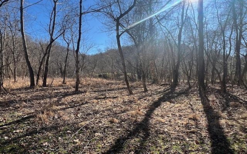 112 & 116 Lower River Road, East Millsboro, 15433, ,Farm-acreage-lot,For Sale,Lower River Road,1770320
