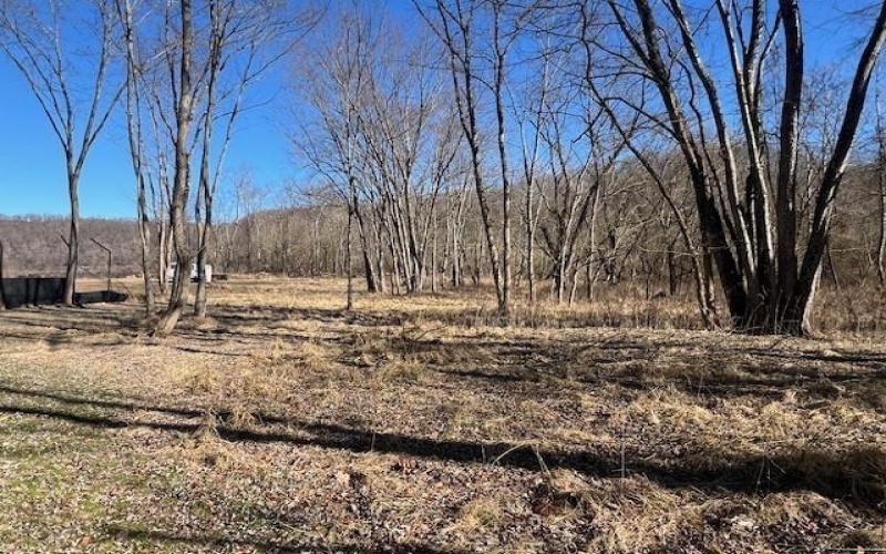112 & 116 Lower River Road, East Millsboro, 15433, ,Farm-acreage-lot,For Sale,Lower River Road,1770320