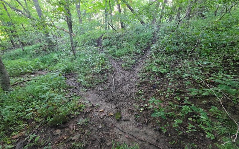 0 Darr Rd, Belle Vernon, 15012, ,Farm-acreage-lot,For Sale,NA,Darr Rd,1770719