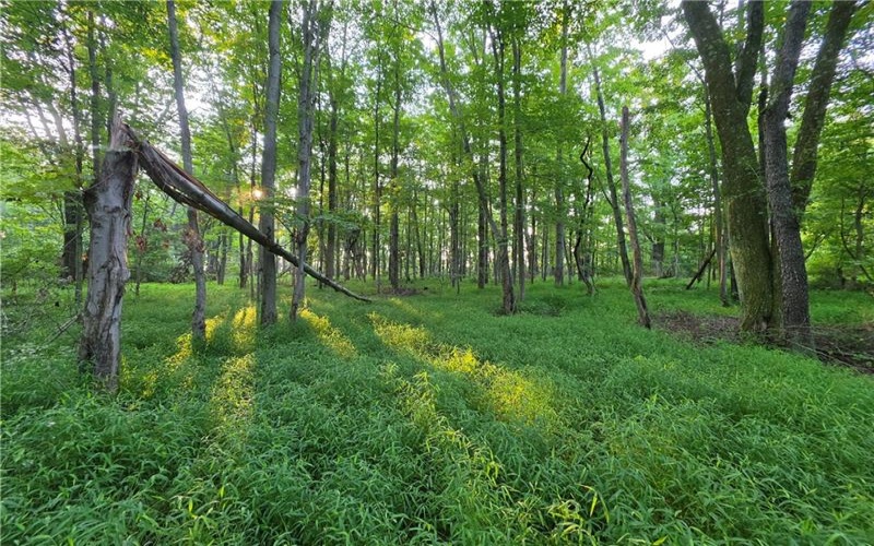 0 Darr Rd, Belle Vernon, 15012, ,Farm-acreage-lot,For Sale,NA,Darr Rd,1770719