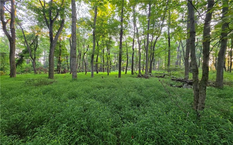 0 Darr Rd, Belle Vernon, 15012, ,Farm-acreage-lot,For Sale,NA,Darr Rd,1770719
