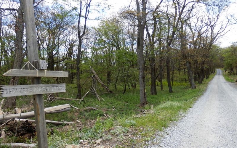 Lot 79 Hawks Nest Rd, Central City, 15926, ,Farm-acreage-lot,For Sale,Hawks Nest Rd,1753217