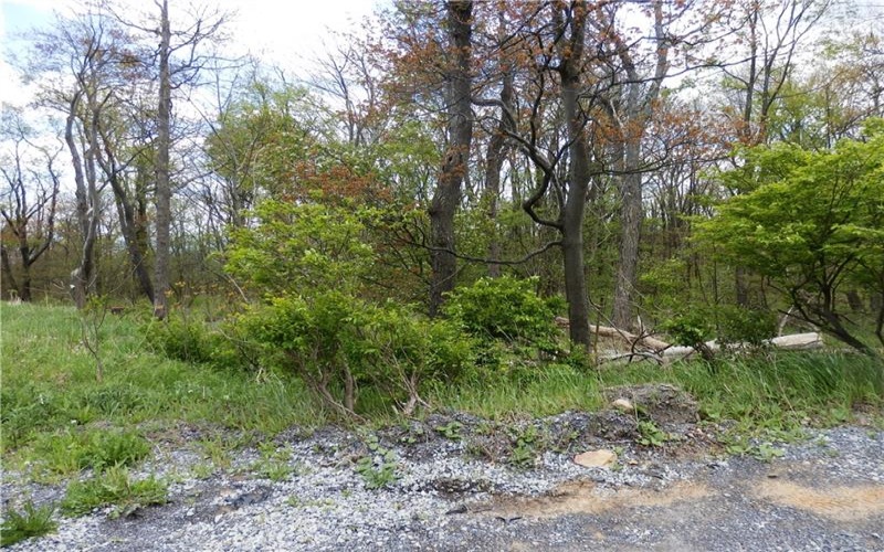 Lot 79 Hawks Nest Rd, Central City, 15926, ,Farm-acreage-lot,For Sale,Hawks Nest Rd,1753217