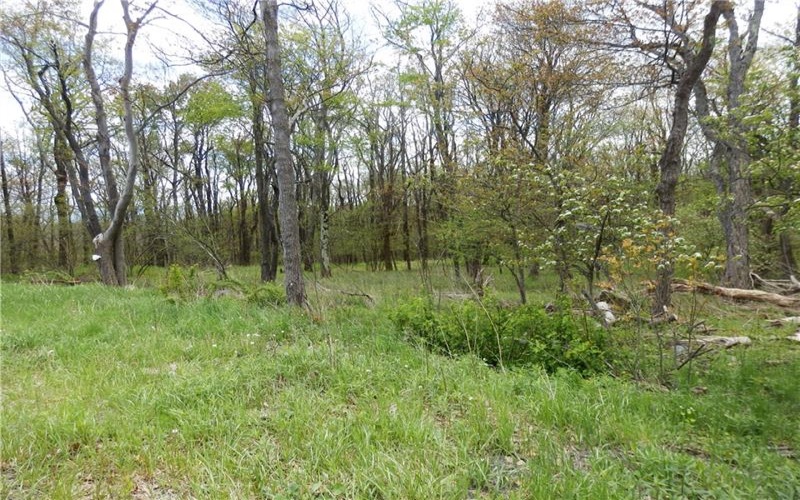 Lot 79 Hawks Nest Rd, Central City, 15926, ,Farm-acreage-lot,For Sale,Hawks Nest Rd,1753217