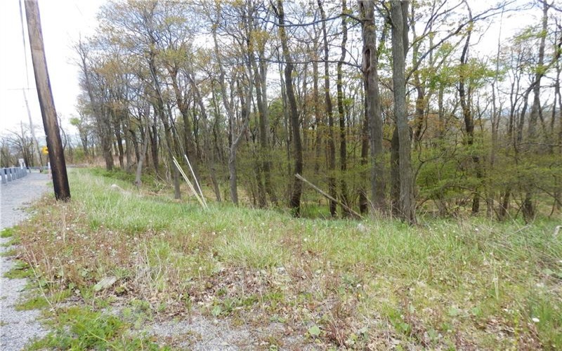 Lot 79 Hawks Nest Rd, Central City, 15926, ,Farm-acreage-lot,For Sale,Hawks Nest Rd,1753217