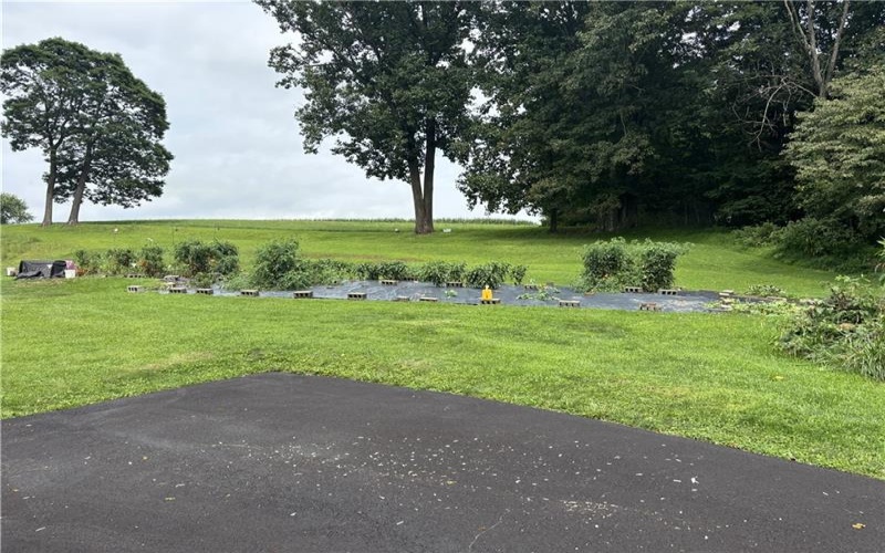 3114 PA-819, Delmont, 15670, 3 Bedrooms Bedrooms, ,2 BathroomsBathrooms,Lease,For Rent,PA-819,1770974