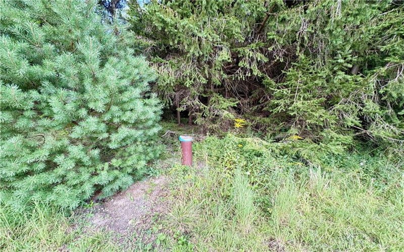 138 Dusty Ln, Somerset, 15501, ,Farm-acreage-lot,For Sale,Dusty Ln,1771206