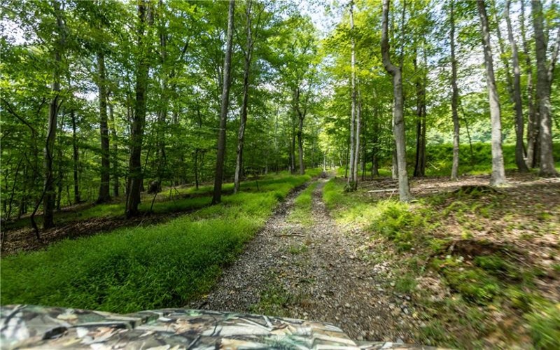 207 Youngstown Ridge Rd, Ligonier, 15658, 5 Bedrooms Bedrooms, 12 Rooms Rooms,5.2 BathroomsBathrooms,Residential,For Sale,Youngstown Ridge Rd,1771325