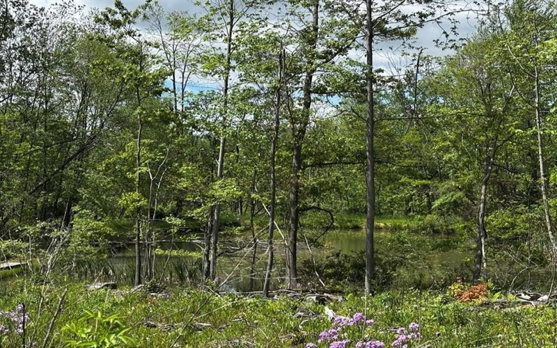 0 Ridge Rd, Hooversville, 15936, ,Farm-acreage-lot,For Sale,Ridge Rd,1771343
