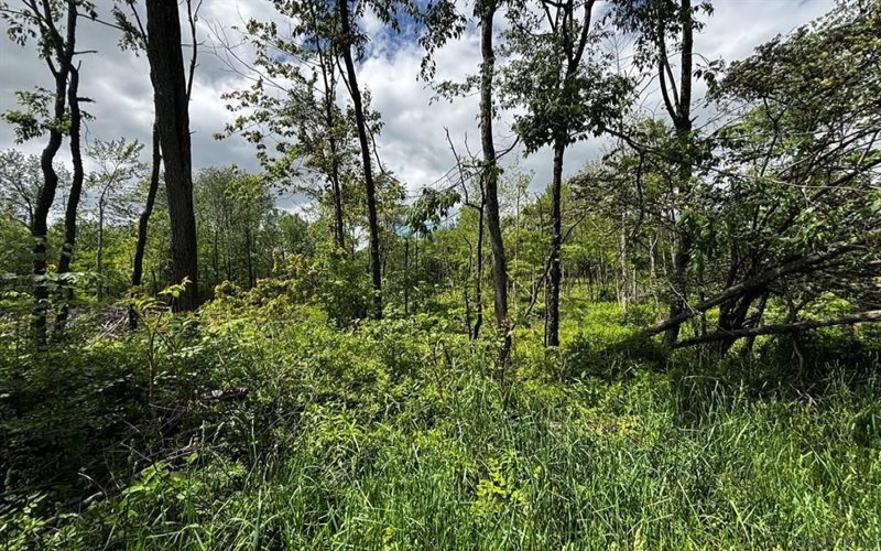 0 Ridge Rd, Hooversville, 15936, ,Farm-acreage-lot,For Sale,Ridge Rd,1771343