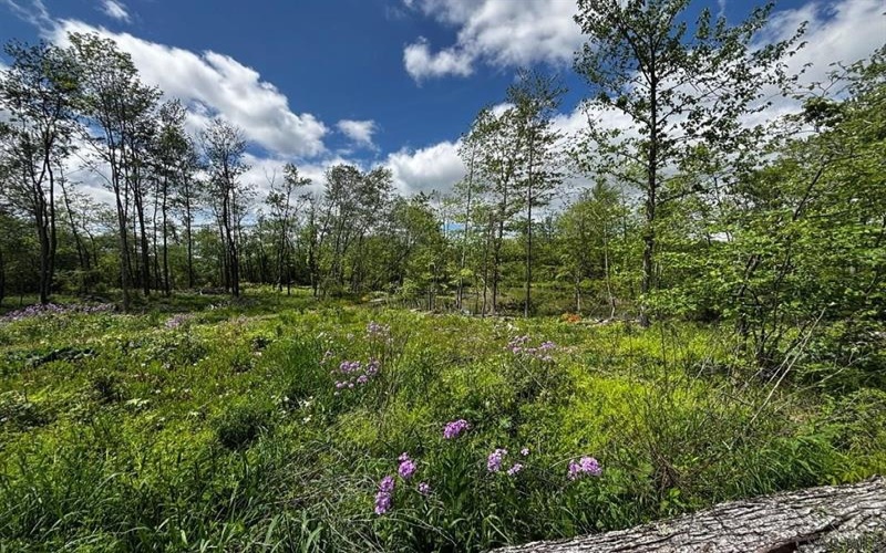 0 Ridge Rd, Hooversville, 15936, ,Farm-acreage-lot,For Sale,Ridge Rd,1771343