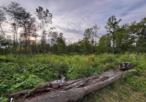 0 Ridge Rd, Hooversville, 15936, ,Farm-acreage-lot,For Sale,Ridge Rd,1771343