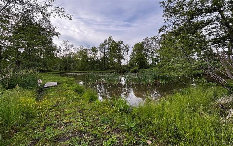 0 Ridge Rd, Hooversville, 15936, ,Farm-acreage-lot,For Sale,Ridge Rd,1771343