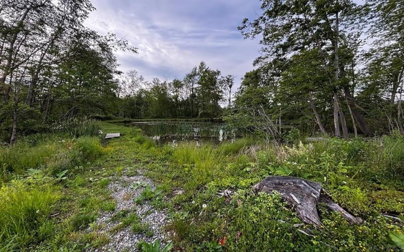 0 Ridge Rd, Hooversville, 15936, ,Farm-acreage-lot,For Sale,Ridge Rd,1771343