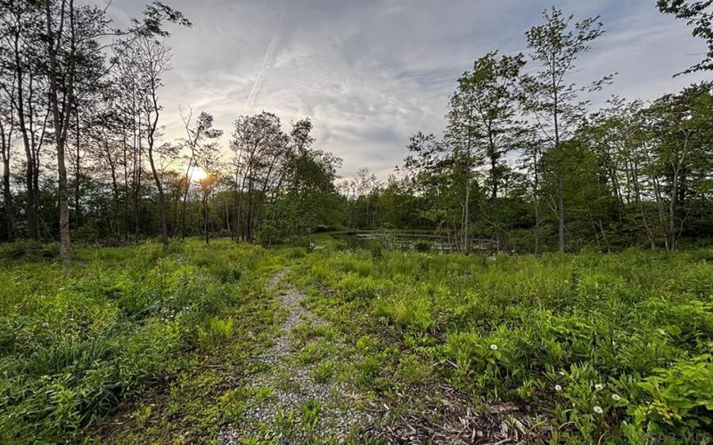 0 Ridge Rd, Hooversville, 15936, ,Farm-acreage-lot,For Sale,Ridge Rd,1771343