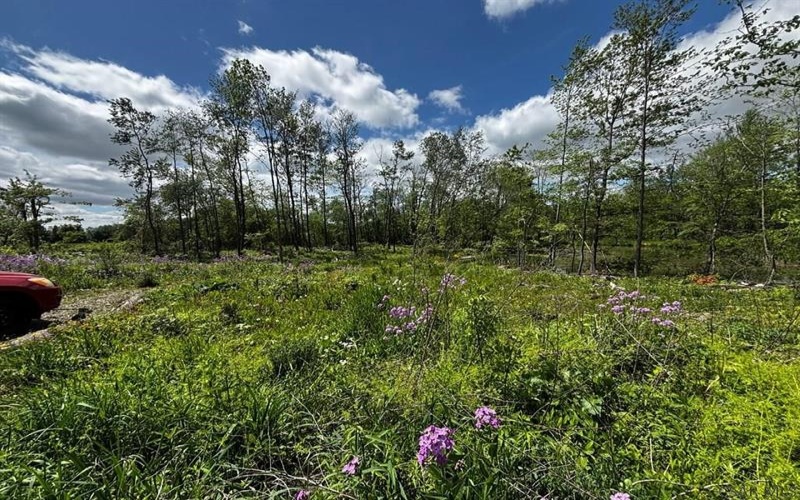 0 Ridge Rd, Hooversville, 15936, ,Farm-acreage-lot,For Sale,Ridge Rd,1771343