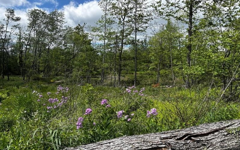 0 Ridge Rd, Hooversville, 15936, ,Farm-acreage-lot,For Sale,Ridge Rd,1771343