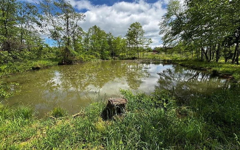 0 Ridge Rd, Hooversville, 15936, ,Farm-acreage-lot,For Sale,Ridge Rd,1771343