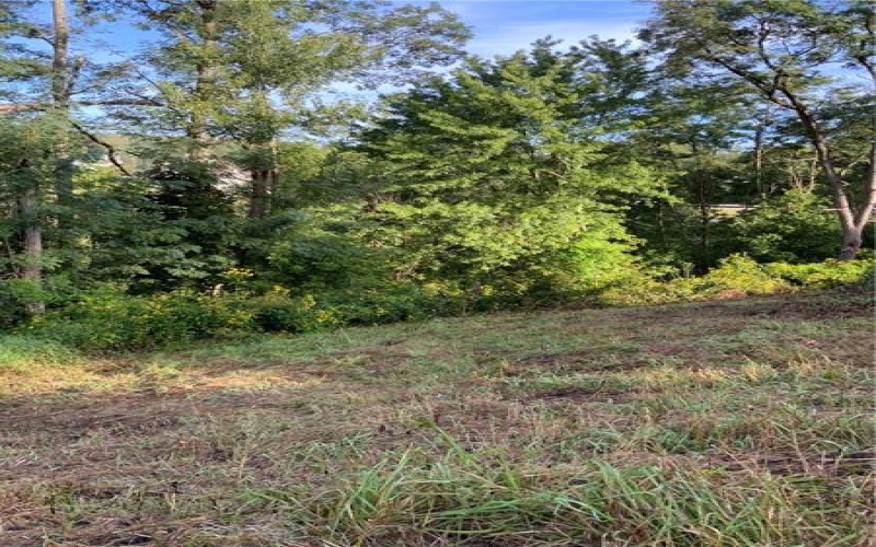 0 Brandenburg Ln, Claysville, 15323, ,Farm-acreage-lot,For Sale,Brandenburg Ln,1771488