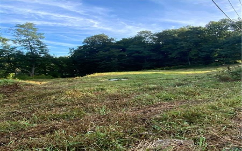 0 Brandenburg Ln, Claysville, 15323, ,Farm-acreage-lot,For Sale,Brandenburg Ln,1771488