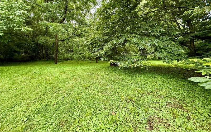 527 Sugar Lane, Clarksville, 15322, 2 Bedrooms Bedrooms, ,Residential,For Sale,Sugar Lane,1771750