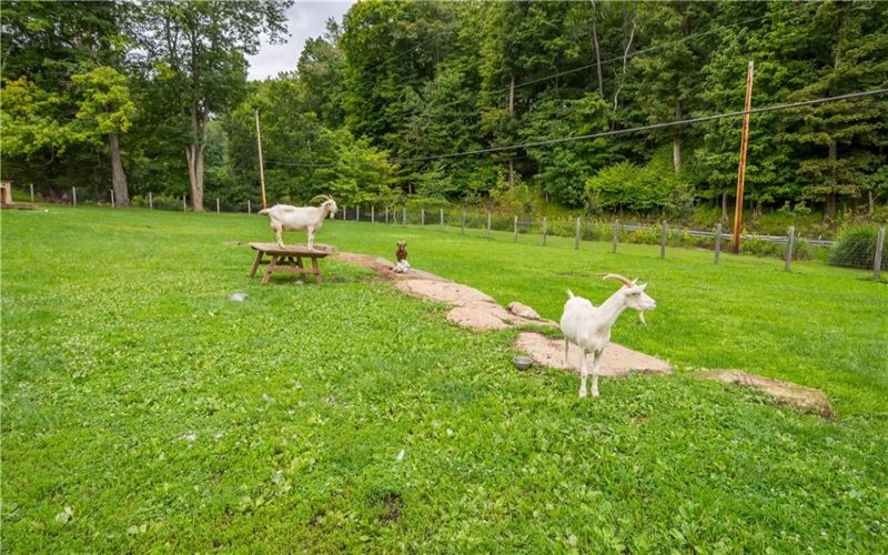 521 McClelland Road, Finleyville, 15332, ,Farm-acreage-lot,For Sale,shed structures,McClelland Road,1772064